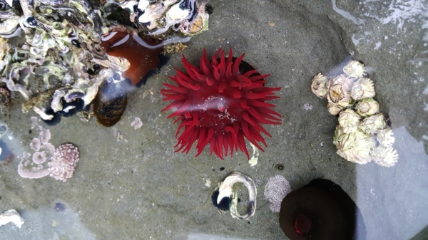 At fossil point2 rsz2