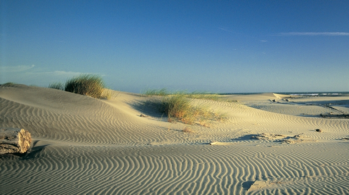 Sand Horizon