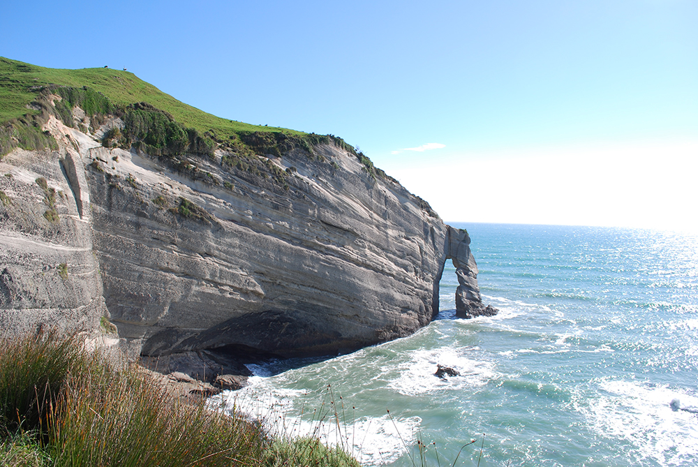 cape farewell tours