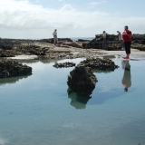 Exploring the rock pools