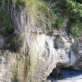 Water trickling down a  rock bank