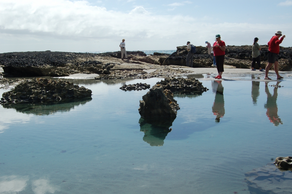 Fossil Point, Golden Bay NZ