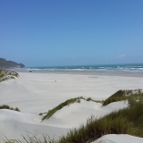 Dune habitat